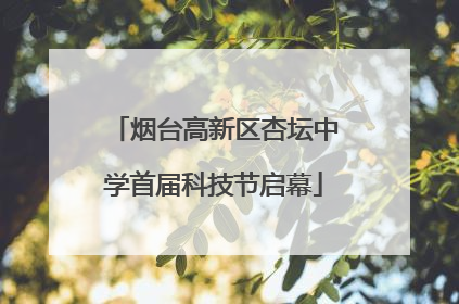 烟台高新区杏坛中学首届科技节启幕