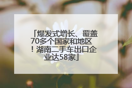 爆发式增长、覆盖70多个国家和地区！湖南二手车出口企业达58家