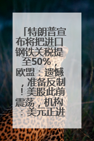 特朗普宣布将把进口钢铁关税提至50%，欧盟：遗憾，准备反制！美股此前震荡，机构：美元正进入熊市