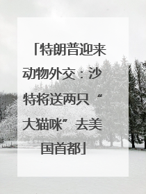 特朗普迎来动物外交：沙特将送两只“大猫咪”去美国首都