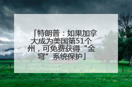 特朗普：如果加拿大成为美国第51个州，可免费获得“金穹”系统保护