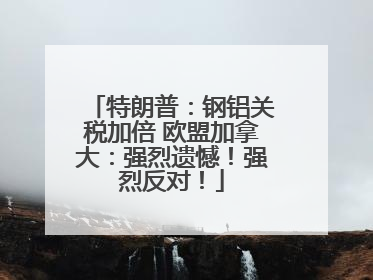 特朗普：钢铝关税加倍 欧盟加拿大：强烈遗憾！强烈反对！