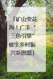 矿山变花海！广丰“三色引擎”催生乡村振兴新图景