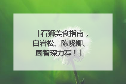 石狮美食指南，白岩松、陈晓卿、周智琛力荐！