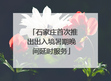 石家庄首次推出出入境暑期晚间延时服务