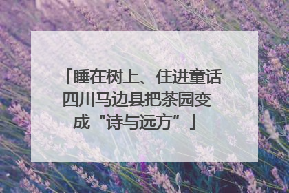 睡在树上、住进童话 四川马边县把茶园变成“诗与远方”