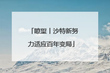 瞭望丨沙特新努力适应百年变局