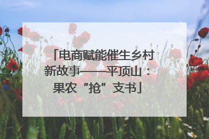 电商赋能催生乡村新故事——平顶山：果农“抢”支书