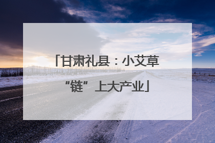 甘肃礼县：小艾草“链”上大产业
