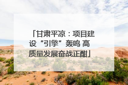 甘肃平凉：项目建设“引擎”轰鸣 高质量发展奋战正酣