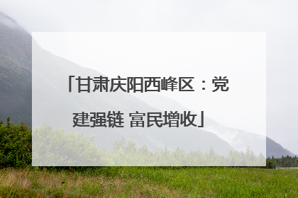 甘肃庆阳西峰区：党建强链 富民增收