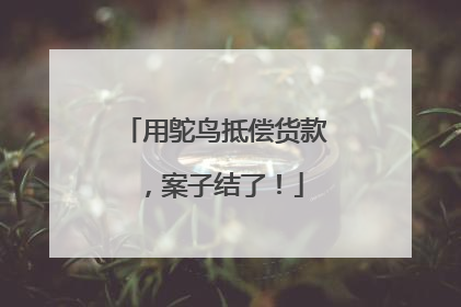 用鸵鸟抵偿货款，案子结了！
