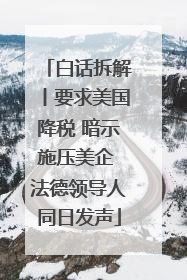 白话拆解丨要求美国降税 暗示施压美企 法德领导人同日发声