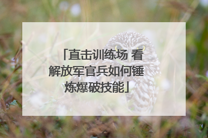 直击训练场 看解放军官兵如何锤炼爆破技能