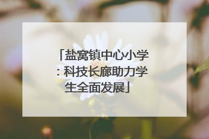 盐窝镇中心小学：科技长廊助力学生全面发展