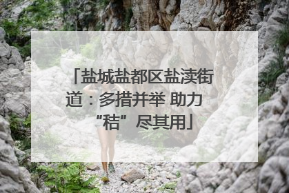 盐城盐都区盐渎街道：多措并举 助力“秸”尽其用