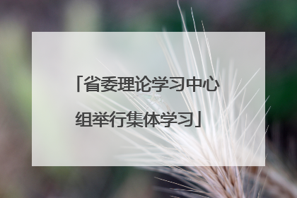 省委理论学习中心组举行集体学习