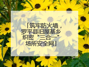 筑牢防火墙，罗平县旧屋基乡织密“三合一”场所安全网