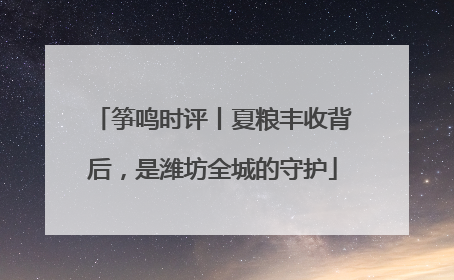 筝鸣时评丨夏粮丰收背后，是潍坊全城的守护