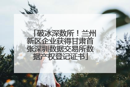 破冰深数所！兰州新区企业获得甘肃首张深圳数据交易所数据产权登记证书