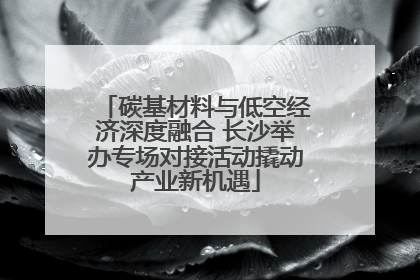 碳基材料与低空经济深度融合 长沙举办专场对接活动撬动产业新机遇