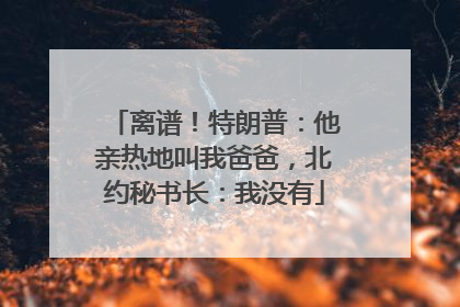 离谱！特朗普：他亲热地叫我爸爸，北约秘书长：我没有