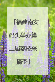 福建南安码头举办第三届荔枝采摘季