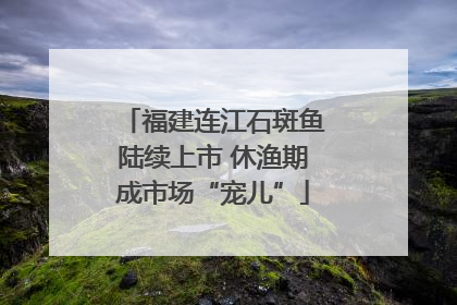 福建连江石斑鱼陆续上市 休渔期成市场“宠儿”