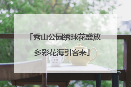秀山公园绣球花盛放 多彩花海引客来