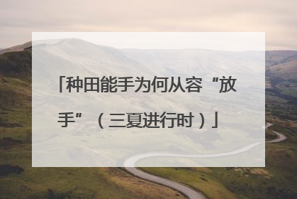 种田能手为何从容“放手”（三夏进行时）