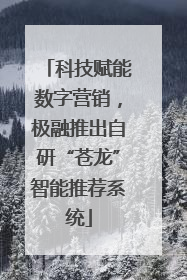 科技赋能数字营销，极融推出自研“苍龙”智能推荐系统