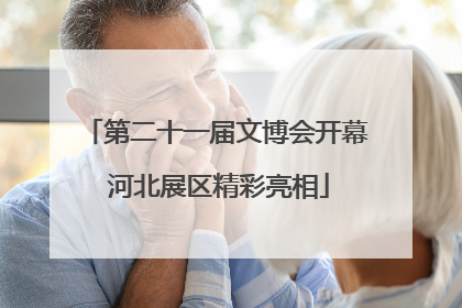 第二十一届文博会开幕 河北展区精彩亮相