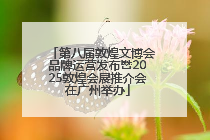 第八届敦煌文博会品牌运营发布暨2025敦煌会展推介会在广州举办