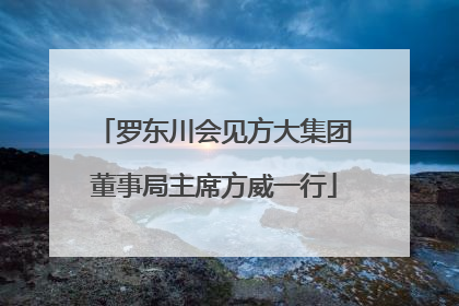 罗东川会见方大集团董事局主席方威一行