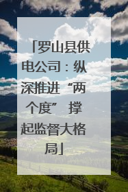 罗山县供电公司：纵深推进“两个度” 撑起监督大格局