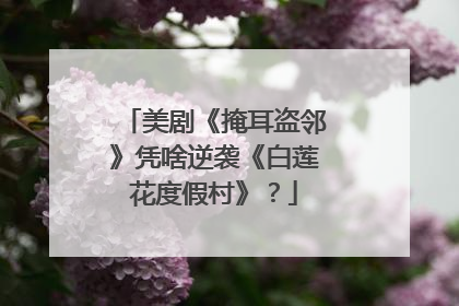 美剧《掩耳盗邻》凭啥逆袭《白莲花度假村》？