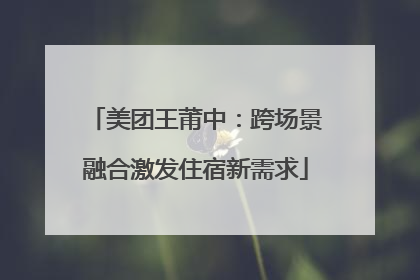 美团王莆中：跨场景融合激发住宿新需求