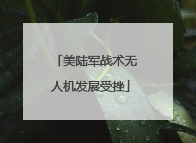 美陆军战术无人机发展受挫