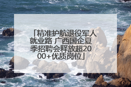 精准护航退役军人就业路 广西国企夏季招聘会释放超2000+优质岗位