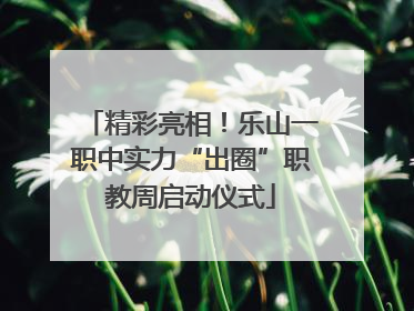 精彩亮相！乐山一职中实力“出圈”职教周启动仪式