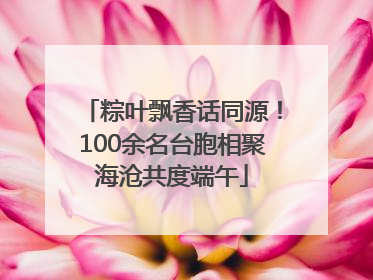 粽叶飘香话同源！100余名台胞相聚海沧共度端午