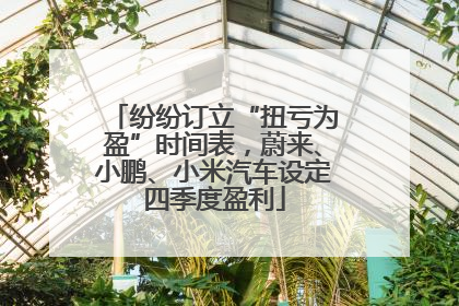 纷纷订立“扭亏为盈”时间表，蔚来、小鹏、小米汽车设定四季度盈利