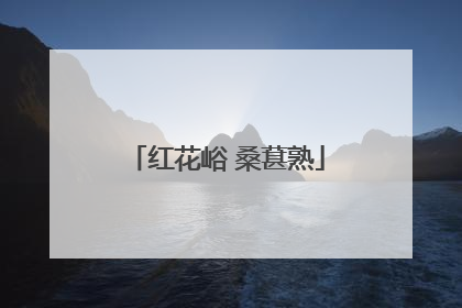 红花峪 桑葚熟