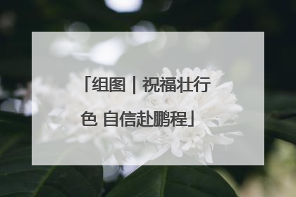 组图｜祝福壮行色 自信赴鹏程
