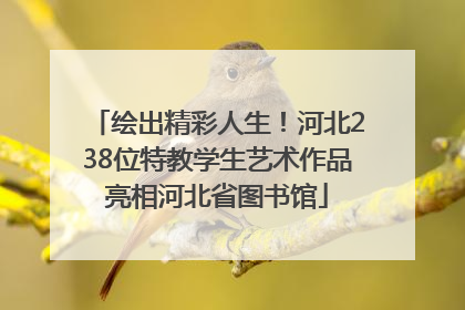 绘出精彩人生！河北238位特教学生艺术作品亮相河北省图书馆