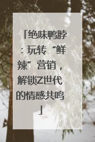 绝味鸭脖：玩转“鲜辣”营销，解锁Z世代的情感共鸣