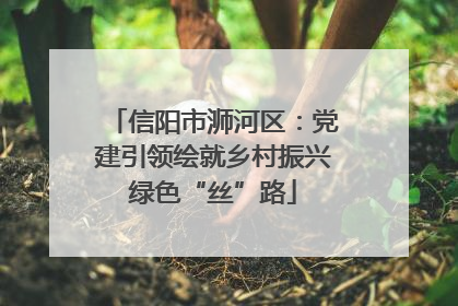 信阳市浉河区：党建引领绘就乡村振兴绿色“丝”路