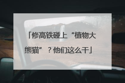 修高铁碰上“植物大熊猫”？他们这么干