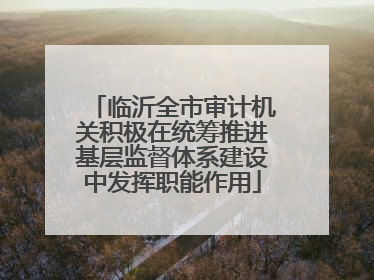 临沂全市审计机关积极在统筹推进基层监督体系建设中发挥职能作用