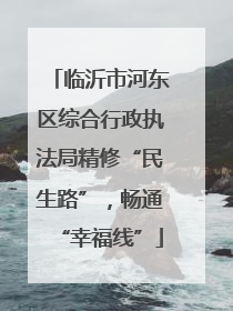 临沂市河东区综合行政执法局精修“民生路”，畅通“幸福线”